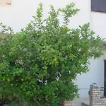 Apartamento Edita