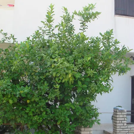 Apartamento Edita
